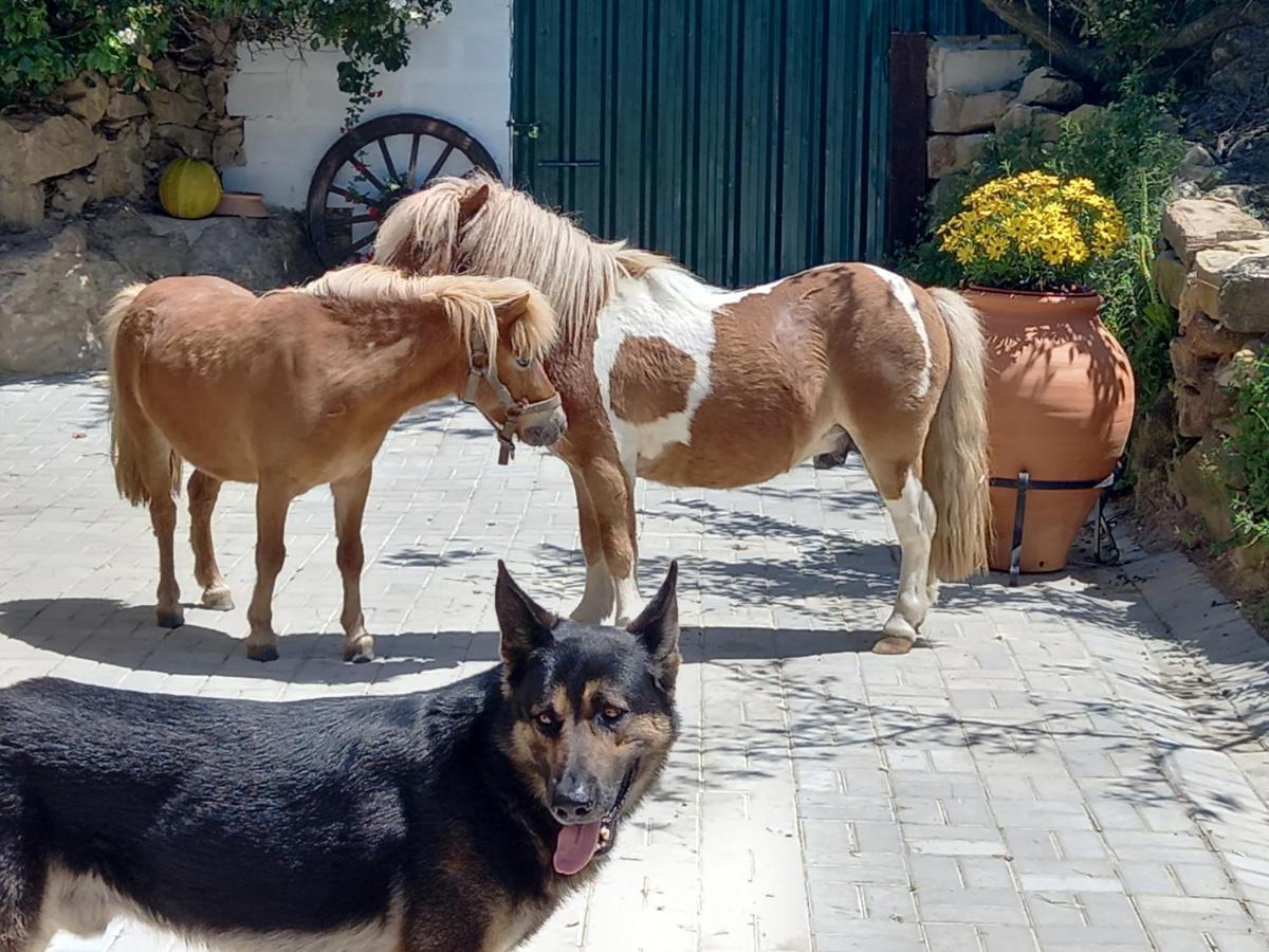 Casinha Da Lareira - Quintinha Dos Cavalos- Arruda Dos Vinhos Luaran gambar