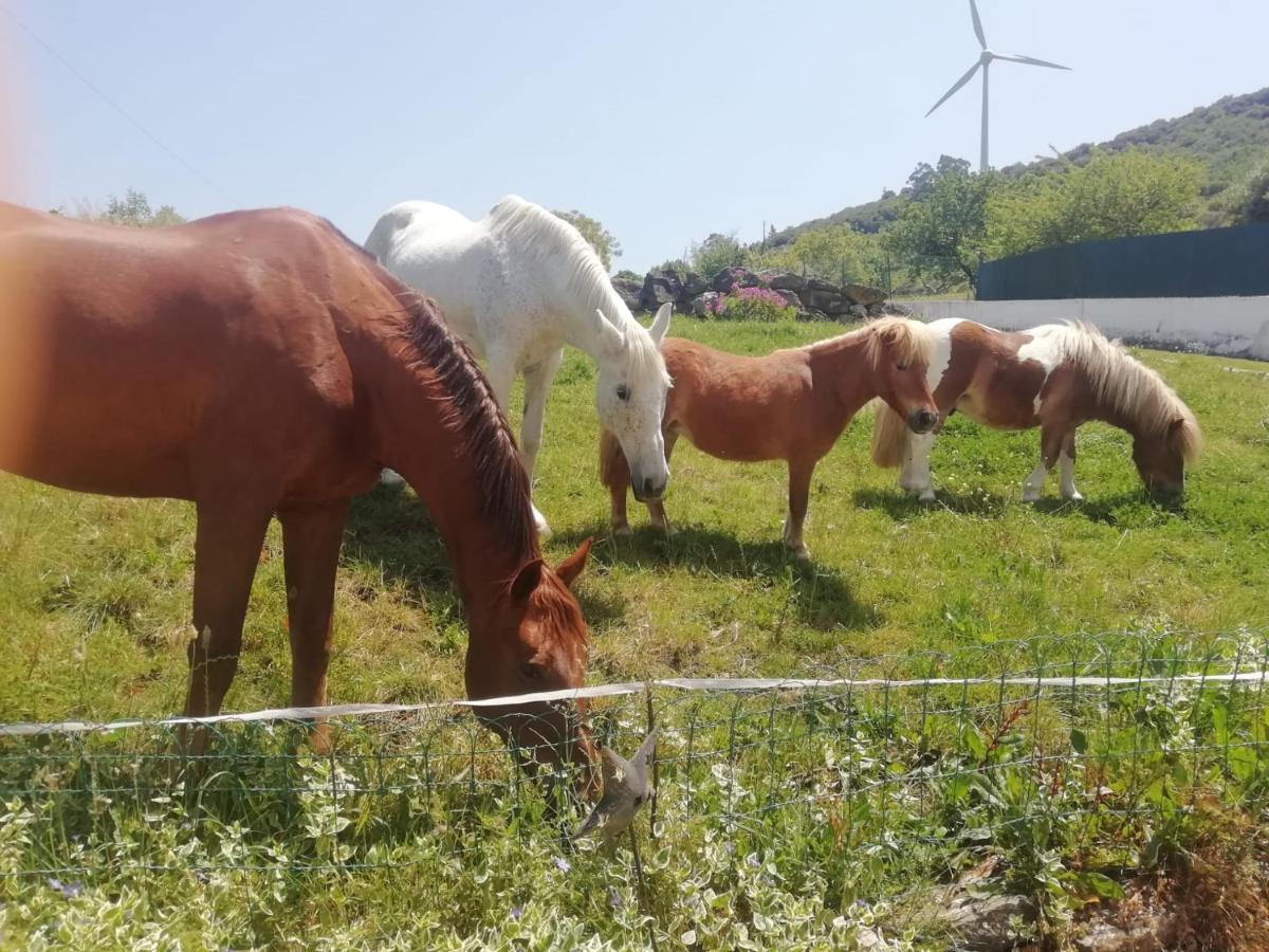 Casinha Da Lareira - Quintinha Dos Cavalos- Arruda Dos Vinhos Luaran gambar