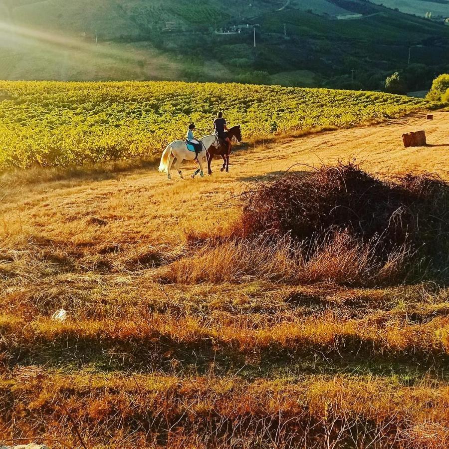 Casinha Da Lareira - Quintinha Dos Cavalos- Arruda Dos Vinhos Luaran gambar