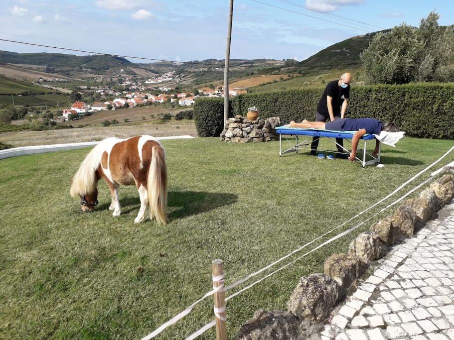 Casinha Da Lareira - Quintinha Dos Cavalos- Arruda Dos Vinhos Luaran gambar