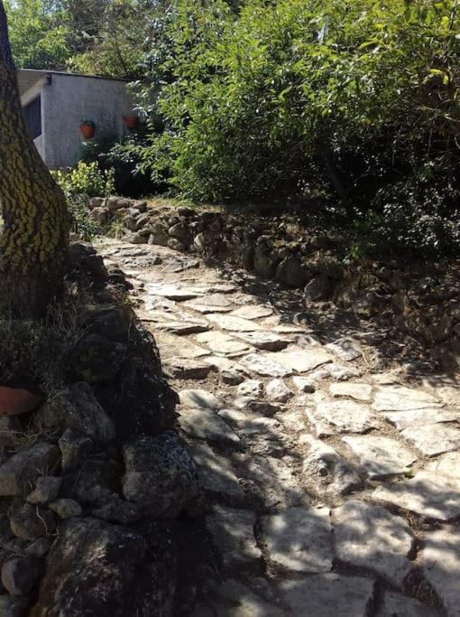 Casinha Da Lareira - Quintinha Dos Cavalos- Arruda Dos Vinhos Luaran gambar